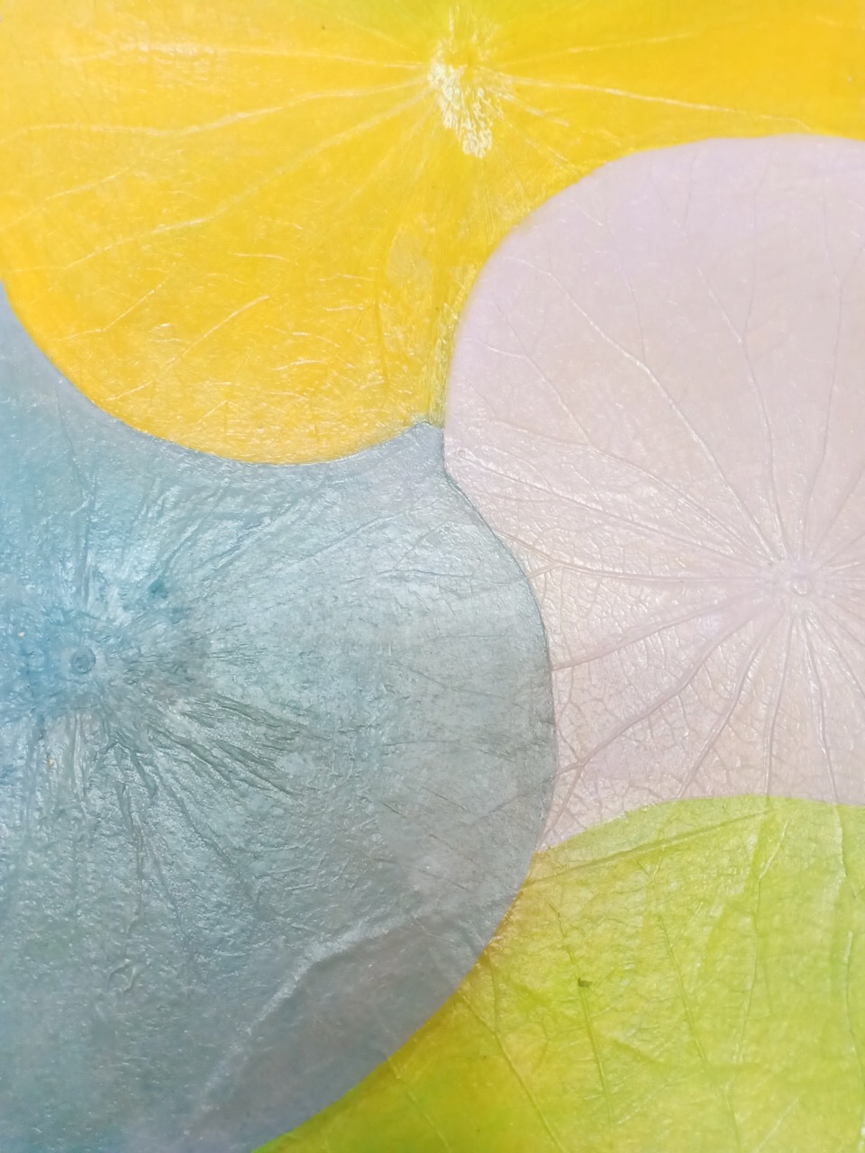 Tranh Sơn Dầu lá Sen